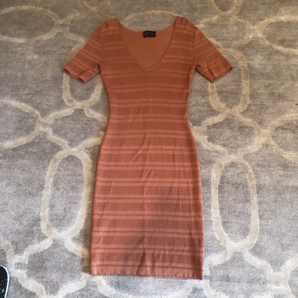 Torn By Ronny Kobo Bodycon Dress